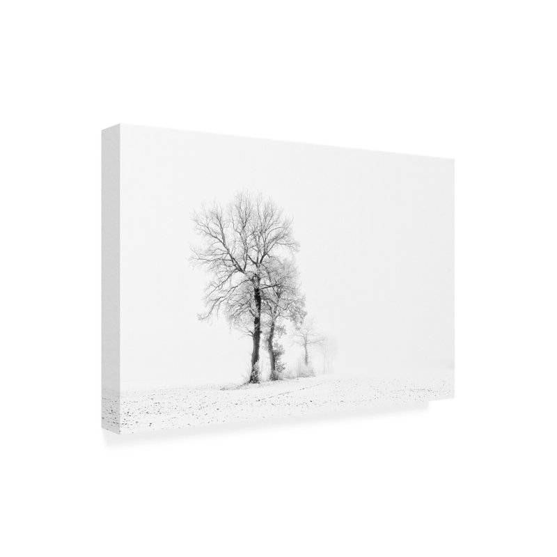 Art sur toile «Bachelo Daan Meeusen», H 16 po x l 24 po