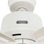 Ventilateur de plafond standard à 5 pales Gatlinburg Easy Installation-88028652-88028653
