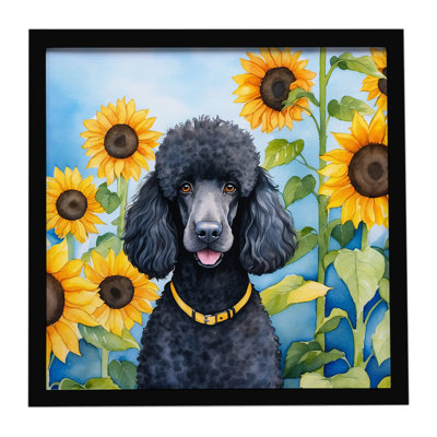 Black Poodle in Sunflowers Framed Metal Print