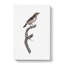 Sparrow Bird by Jacques Barraband - Wrapped Canvas-55318950