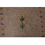 Tapis oriental tribal beige Gabbeh 8