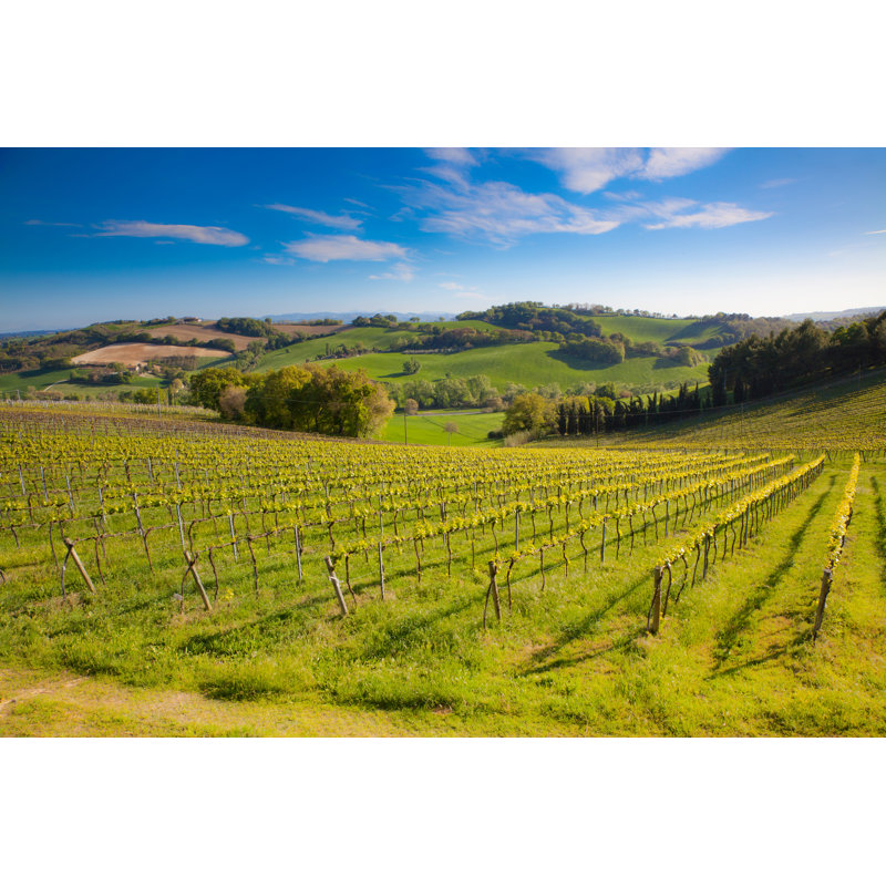 Idyllic Italian Landscape 1 Piece Wrapped Canvas Wall Art, 51cm H x 76cm W