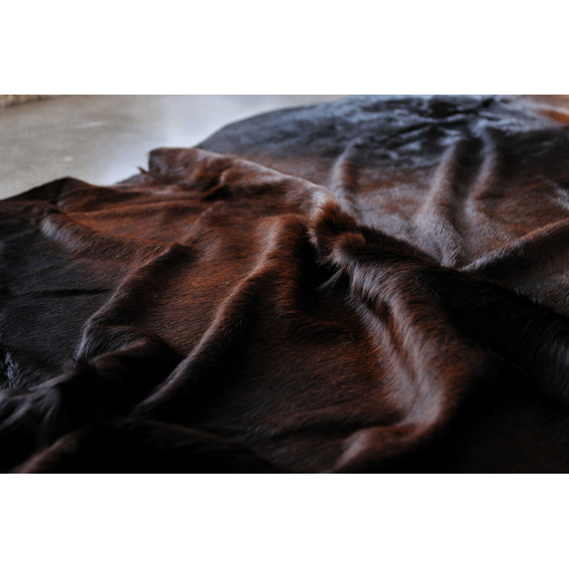 Tapis brun en peau de vache Abhinav, Nouveauté 6 pi x 7 pi