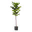 Figuier Achille artificiel en pot
