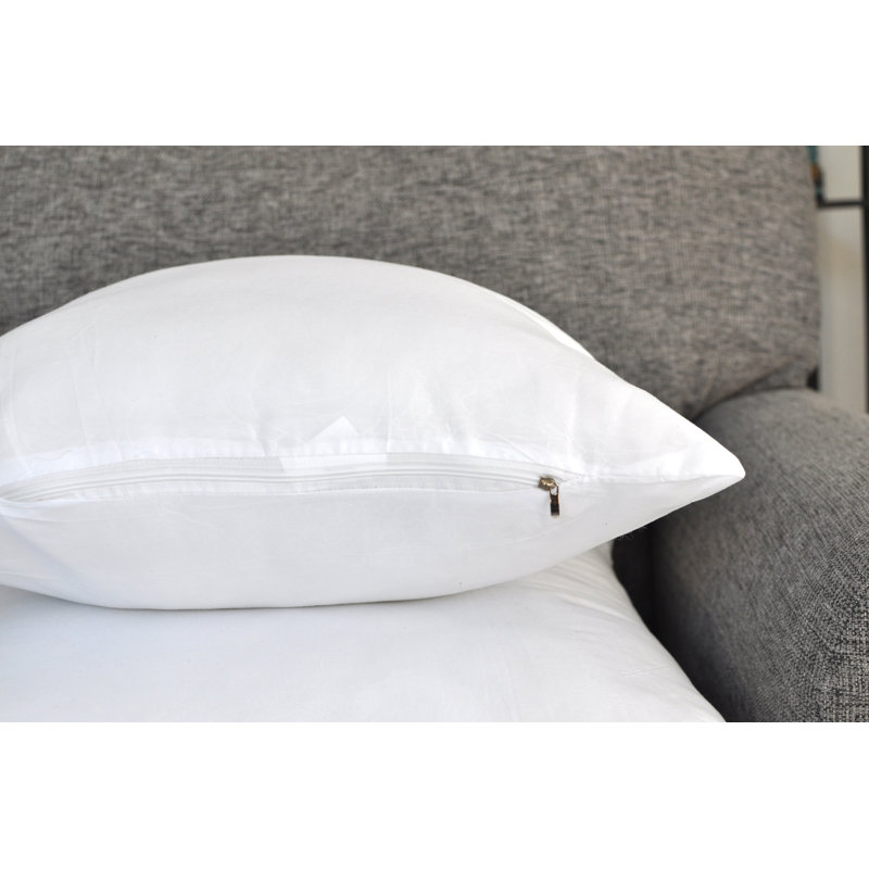 Insert de coussin réversible uni, H 22 po x l 22 po, Plumes