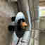 Photos des clients 1 de 1