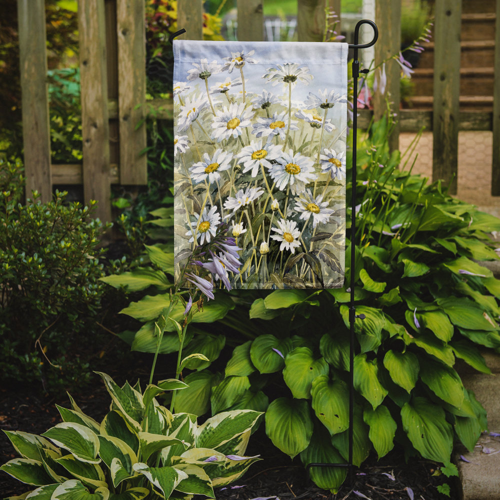 Fere Daisies by Bettie Cheesman 2-Sided Garden Flag August Grove® 