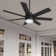 52" Brazos ENERGY STAR® 7-Blade Standard Ceiling Fan with Remote Control and LED Light Kit Included