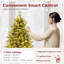 5' H 1 Christmas Tree