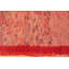 Tapis rouge marocain double face rétro berbère