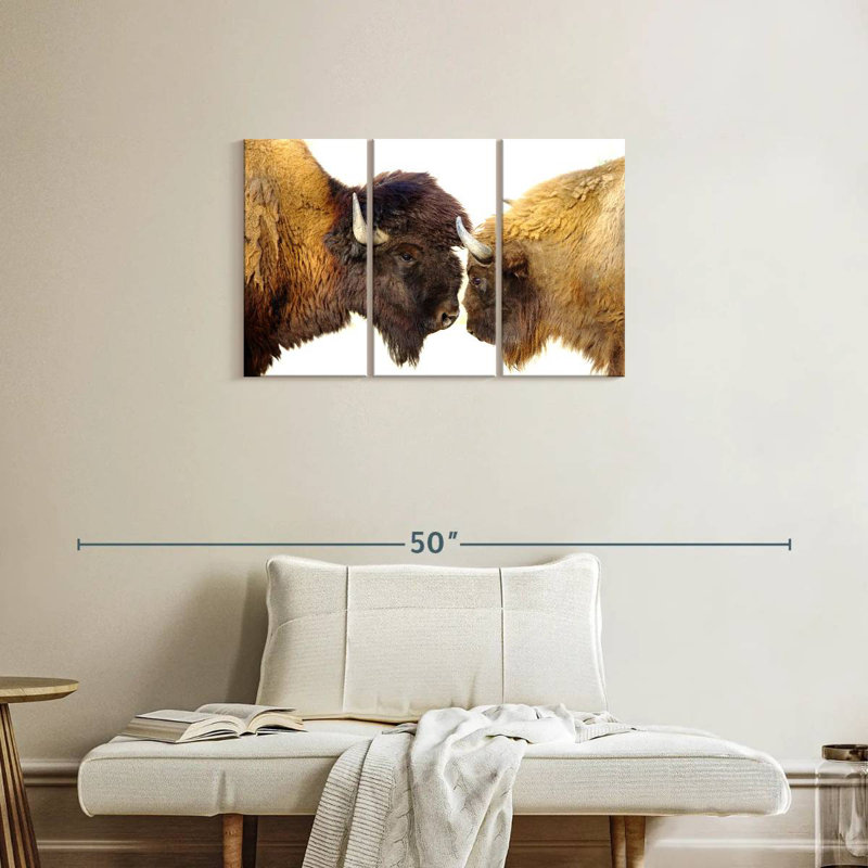 Bramison Bisons I, H 20 po x l 33 po