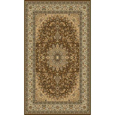 Infinity Oriental Area Rug in Brown