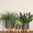 8" PLANTER W/ WOOD STAND, MATTE GRAY-251004513