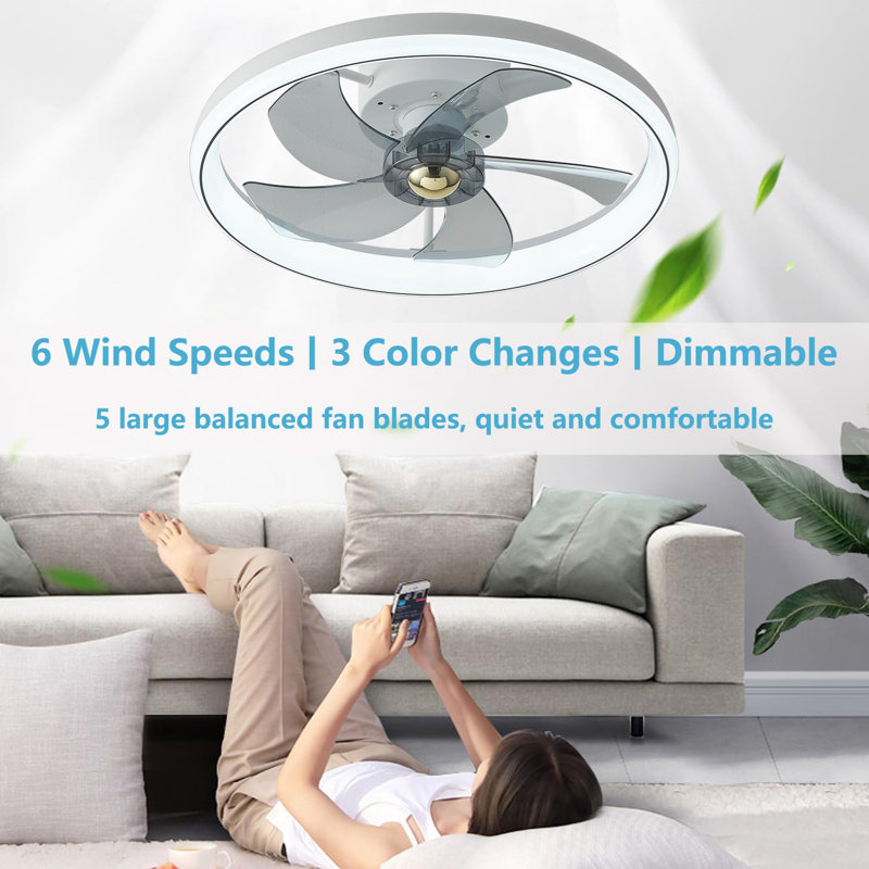Ceiling Fan with LED Lights