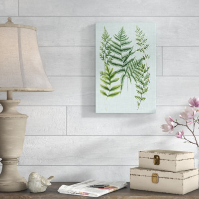 'Spa Ferns I' by Weinmann - Wrapped Canvas Graphic Art Print