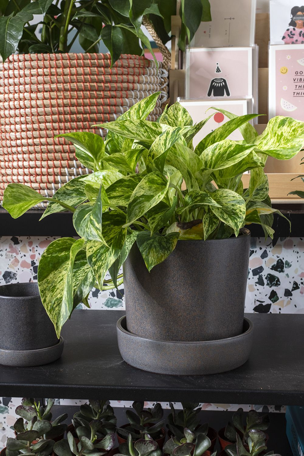 Handmade Ceramic Pot Planter, 6.5" H x 6.75" W x 6.75" D, Black