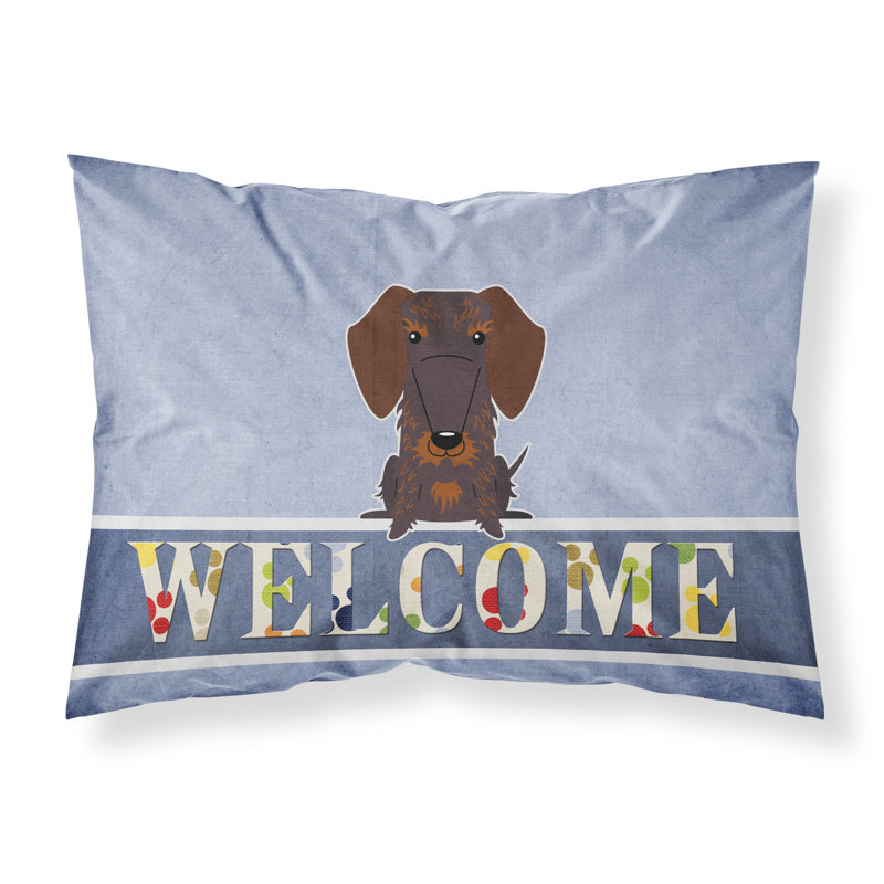 Microfiber, Chocolate Wire Haired Dachshund