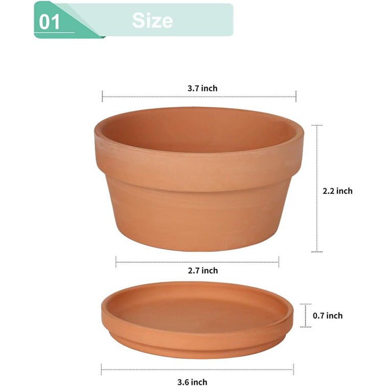 Fcacti 2.7 Inch Terracotta Shallow Succulent Pot - 30 Pack Mini Terra Cotta  Clay Pots with Drainage, Cacuts Terra-Cotta Indoor and Outdoor Planters