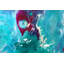 Remote Voyage Painting