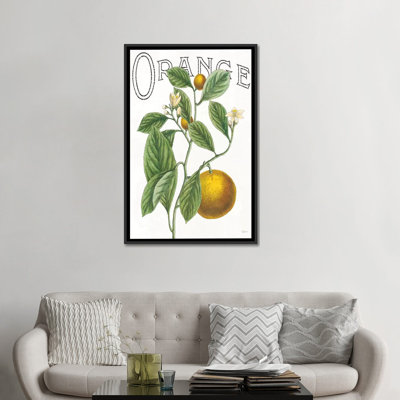 " Classic Citrus VI " by Sue Schlabach
