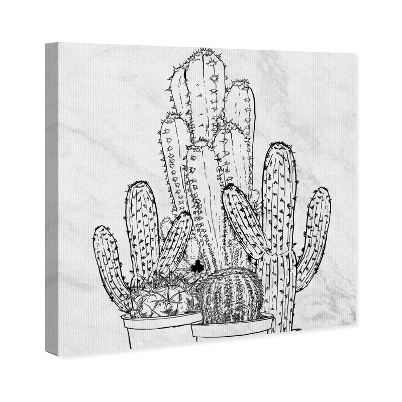 « cactus linework » par oliver gal, reproduction d’art sur toile, H 16 po x l 16 po x P 1,5 po