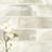 Nacre Blanc Subway 12 in. x 15 in. Glossy Glass Mosaic Wall Tile