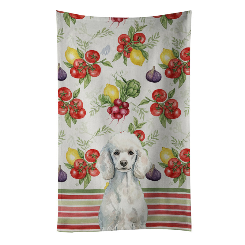 Torchon standard blanc, Standard White Poodle