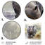 Gris serein Hippo majestueux - art mural hippopotame-1981070921