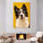 Brampt Adorable Border Collie-108545516