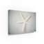 « white starfish », reproduction d’impression sur toile tendue-26856487