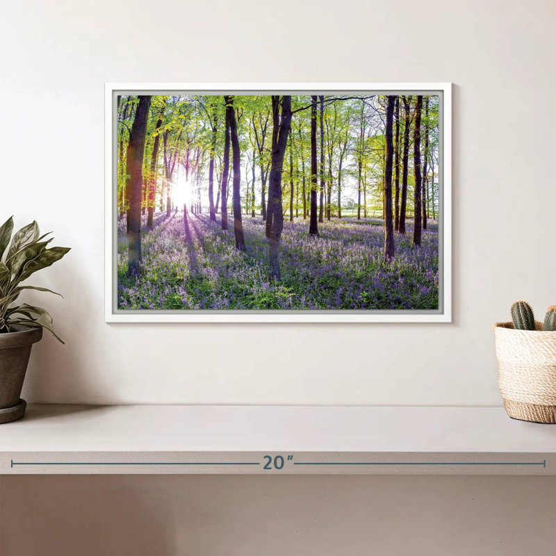 Bluebells and sunrise, Cadre flottant blanc, 13 po x 9 po