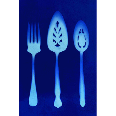 Photographie «Cyanype Kitchen X» par Nancy Green