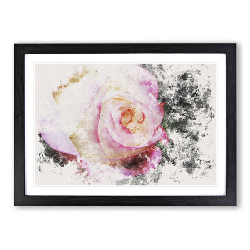 Pink Tipped Rose - Picture Frame Graphic Art Print, 24cm H x 33cm W x 2cm D, Black Framed