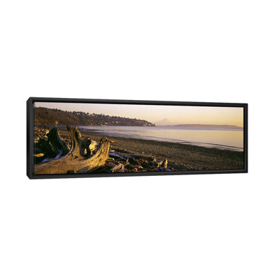" Driftwood On The Beach, Discovery Park, Mt Rainier, Seattle, King County, Washington State, USA " by Panoramic Images