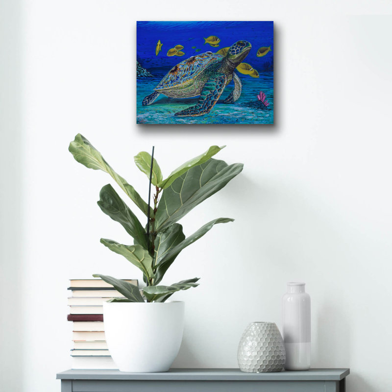 Beachcrest Home ™ «Turtle Tale» par Martin Nasim, art mural en verre acrylique, H 12 po x l 16 po x P 0,13 po