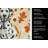 Dalmatian Heirloom Fall Kitchen Towel-1218231430