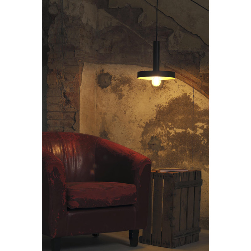 Hostetter 1 - Light Geometric Pendant, Satin Gold/Black