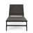 Two Adjustable Chaise Lounges With 5-Position Reclining Backs-1962694648