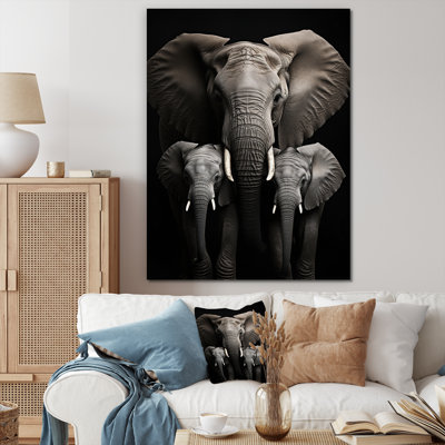 Éléphant noir et blanc Laciana