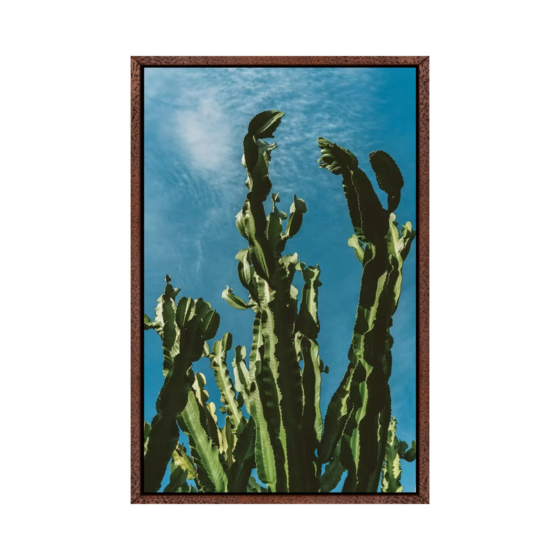 Cactus Sky II 1 Piece Wall Art on Canvas, 101.6cm H x 66.04cm W x 3.81cm D, Classic Brown Wood Framed