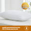 Silentnight Pocket Sprung Pillows