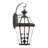 Creason Beveled Glass Outdoor Wall Lantern-32478433