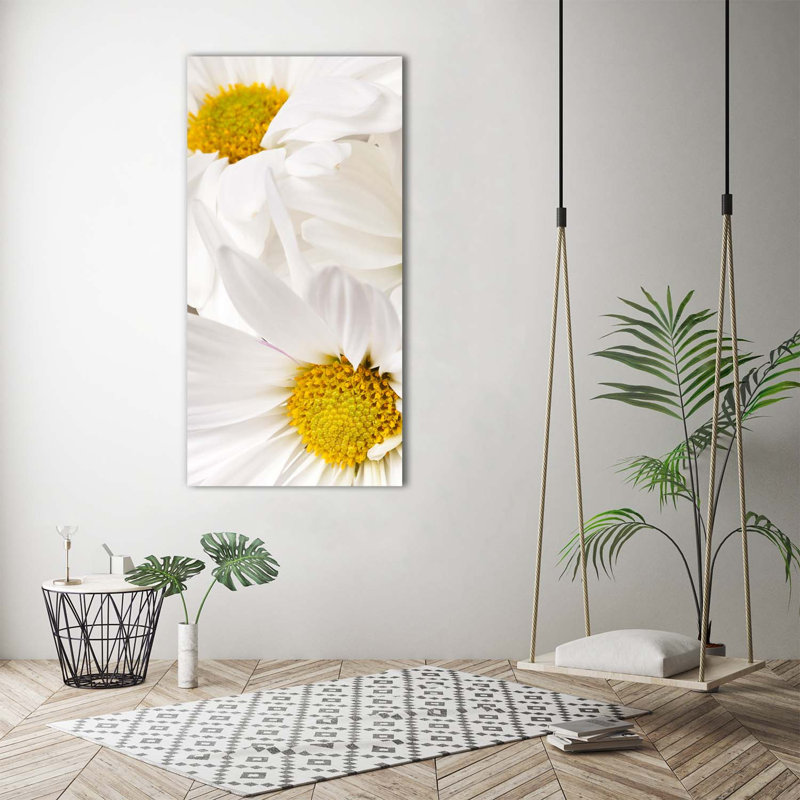 Daisies - Wrapped Canvas Print