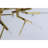 Light Branches Acropora Chandelier-90566487-90566491-130734884