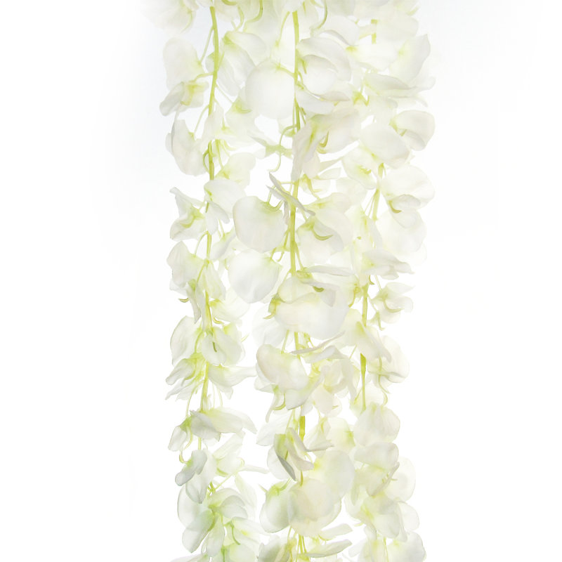 Longue tige de glycine suspendue, Crème