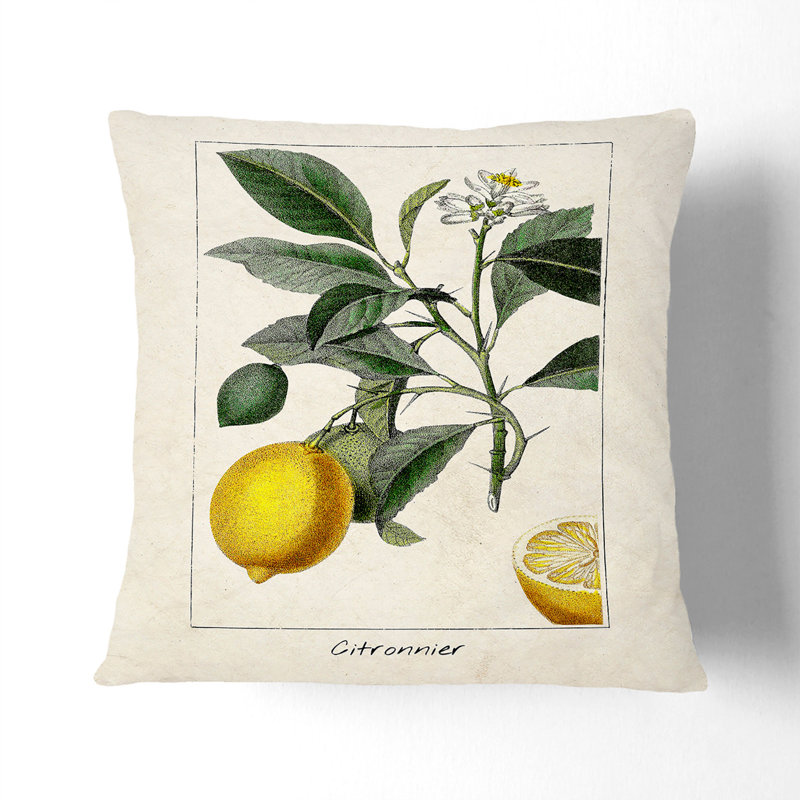 Illustration of a Lemon Tree Cushion with Filling, 55cm H x 55cm W x 20cm D, White