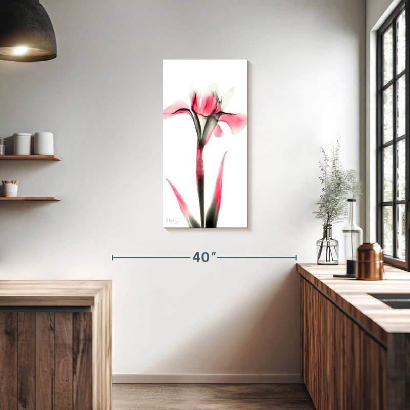 Pink Infused Iris I