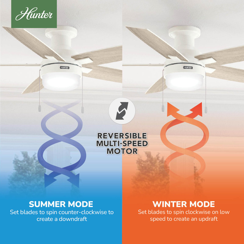 Hunter 52 Inch Anisten Low Profile Ceiling Fan With Lights And Pull Chains, White, White