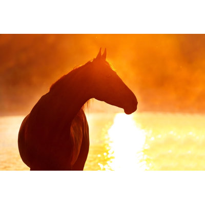 Horse Silhouette At Sunrise - Wrapped Canvas Print