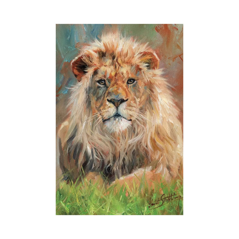 Lion Front by David Stribbling - Wrapped Canvas Print, 101.6 cm H x 66.04 cm W x 1.91 cm D